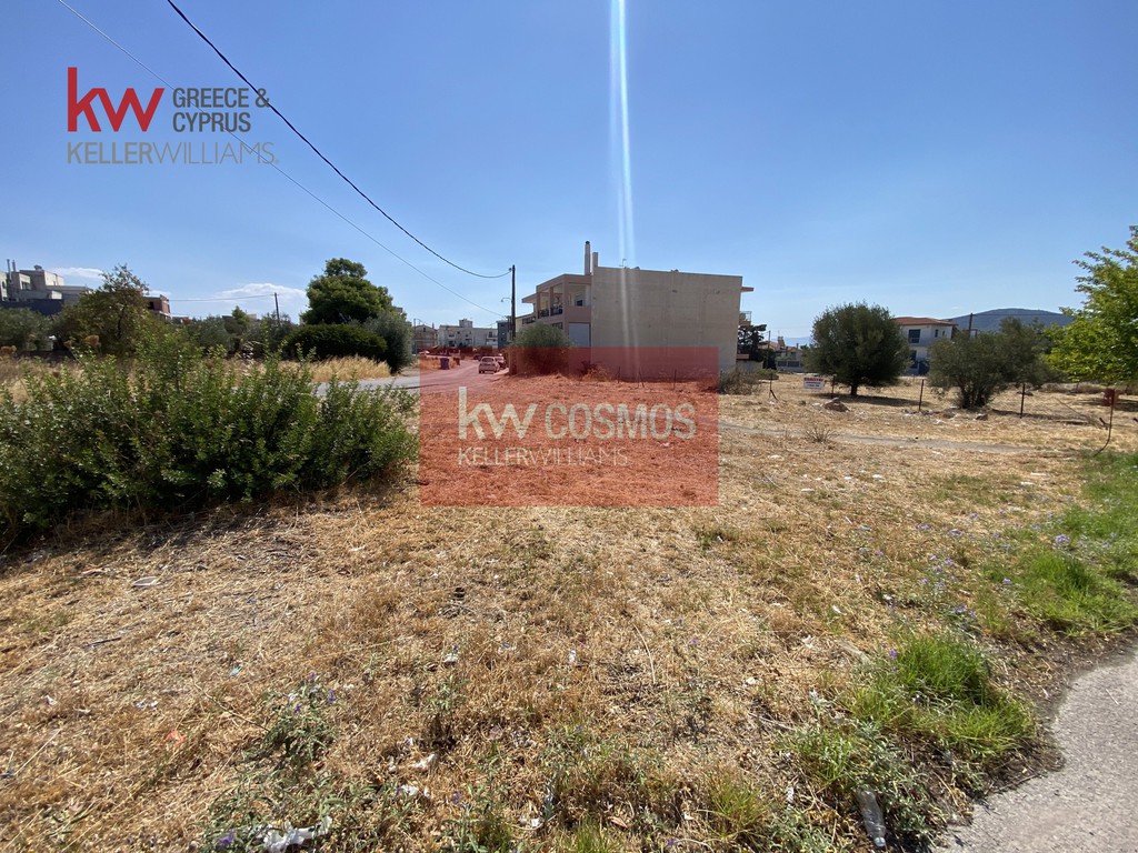 Οικόπεδο 987 τ.μ. προς πώληση, Κάνηθος