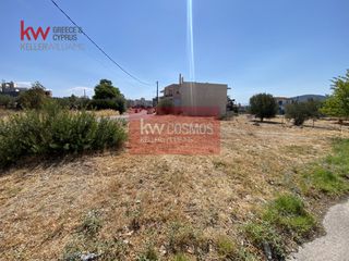 Οικόπεδο 987 τ.μ. για πώληση, Εύβοια, Ανθηδώνος-thumb-1