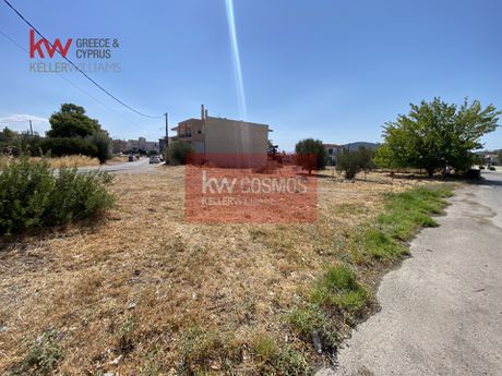 Land plot 987sqm for sale-Anthidonos