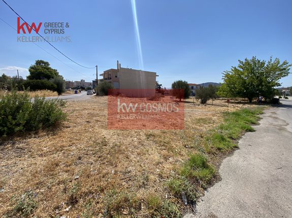 Οικόπεδο 987 τ.μ. για πώληση, Εύβοια, Ανθηδώνος