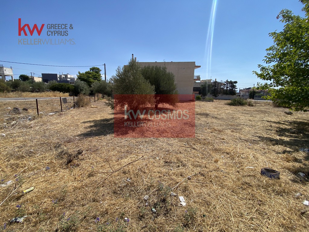 Οικόπεδο 987 τ.μ. προς πώληση, Κάνηθος