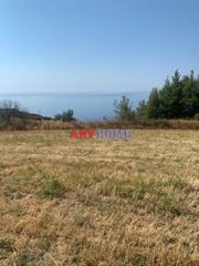 Αγροτεμάχια 6.000 τ.μ. για πώληση