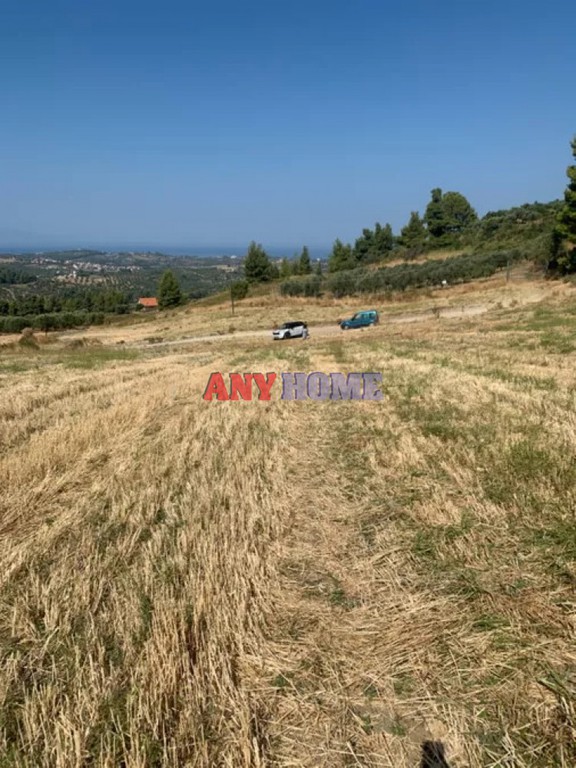 Αγροτεμάχια 4.000 τ.μ. προς πώληση, Μόλες Καλύβες