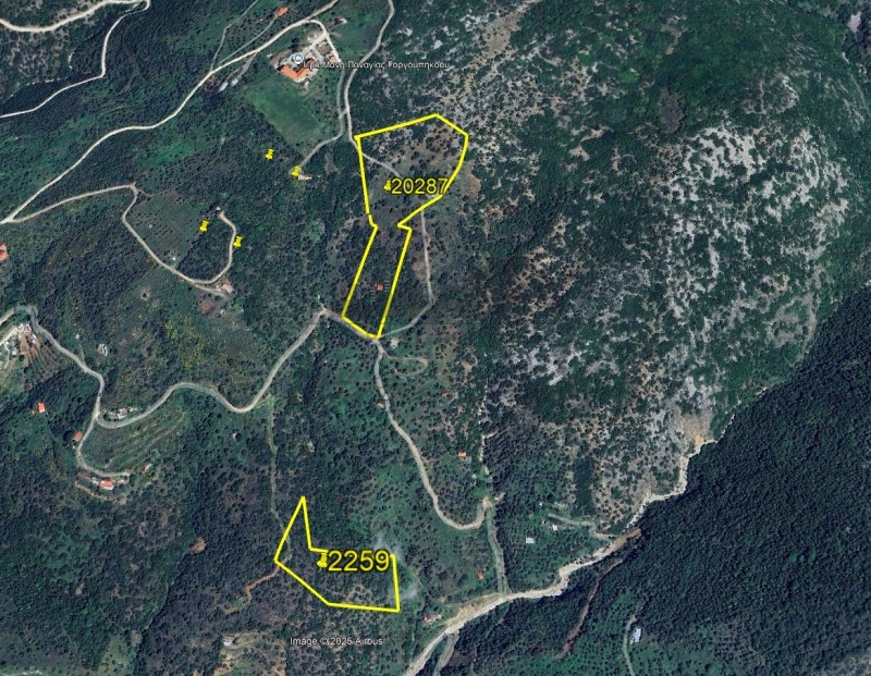 Αγροτεμάχια 22.546 τ.μ. πρός πώληση, Μαγνησία, Μακρινίτσα