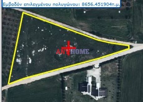 Αγροτεμάχια 8.700 τ.μ. προς πώληση