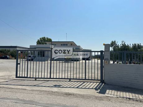 Craft space 2.400sqm for rent-Echedoros » Sindos