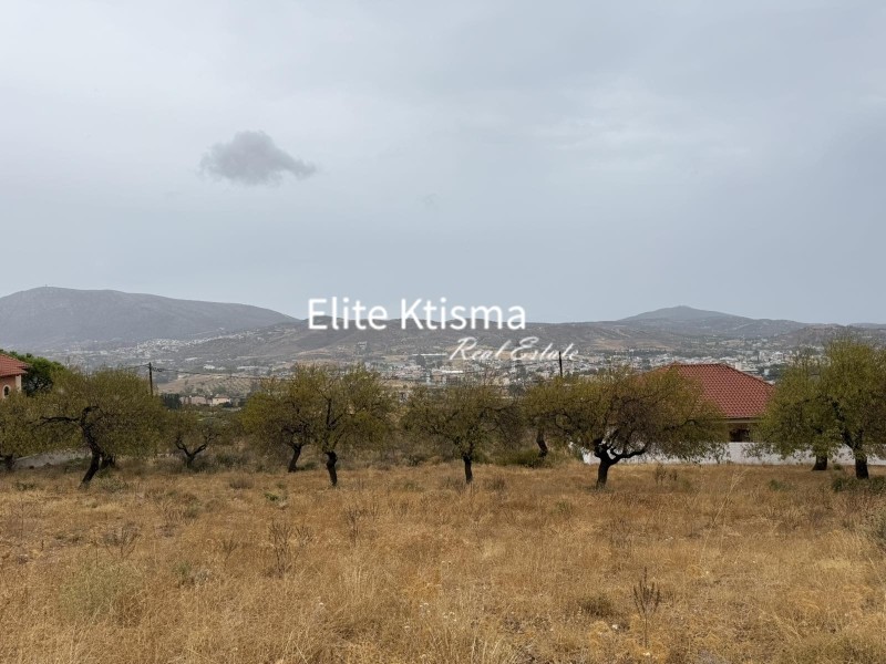 Αγροτεμάχια 4.970 τ.μ. πρός πώληση, Αττική - Υπόλοιπο, Κερατέα