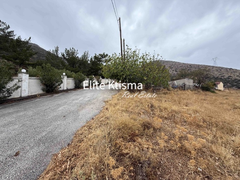 Αγροτεμάχια 4.970 τ.μ. πρός πώληση, Αττική - Υπόλοιπο, Κερατέα
