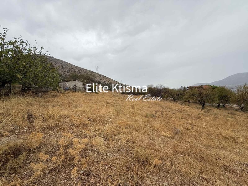 Αγροτεμάχια 4.970 τ.μ. πρός πώληση, Αττική - Υπόλοιπο, Κερατέα