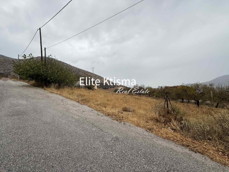 Αγροτεμάχια 4.970 τ.μ. πρός πώληση, Αττική - Υπόλοιπο, Κερατέα