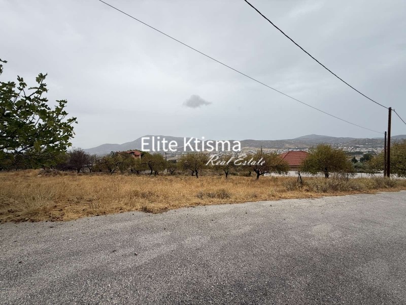 Αγροτεμάχια 4.970 τ.μ. πρός πώληση, Αττική - Υπόλοιπο, Κερατέα