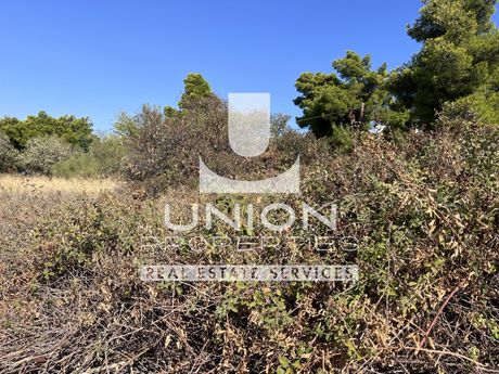 Land plot 500sqm for sale-Anthoisa