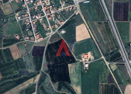 Οικόπεδο 500τ.μ. για πώληση-Πολύκαστρο » Μικρό δάσος