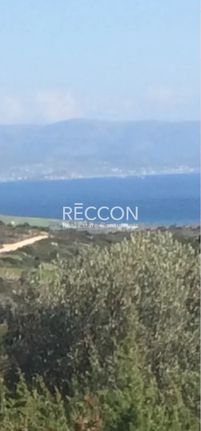Οικόπεδο 6.365 τ.μ. για πώληση, Κυκλάδες, Πάρος
