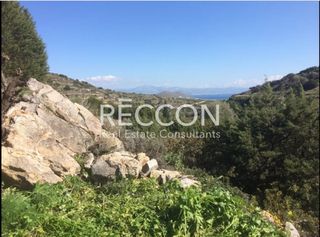 Οικόπεδο 6.365 τ.μ. για πώληση, Κυκλάδες, Πάρος-thumb-2