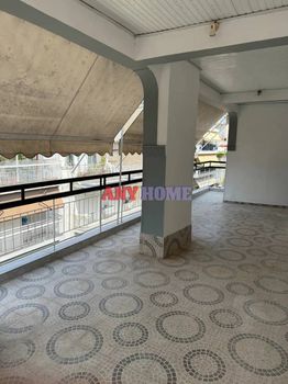 Studio / γκαρσονιέρα 52τ.μ. για πώληση-Συκιές » Μαύρος γάτος