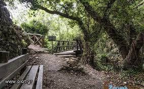 Οικόπεδο 2.023 τ.μ. πρός πώληση, Ν. Ρεθύμνου, Ρέθυμνο