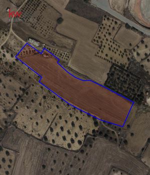 Αγροτεμάχια 12.403τ.μ. για πώληση-