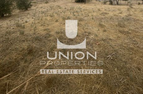 Land plot 970sqm for sale-Agia Paraskevi » Pefkakia