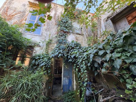 Συγκρότημα διαμερισμάτων 333τ.μ. για πώληση-Λάμπη » Μυξόρρουμα