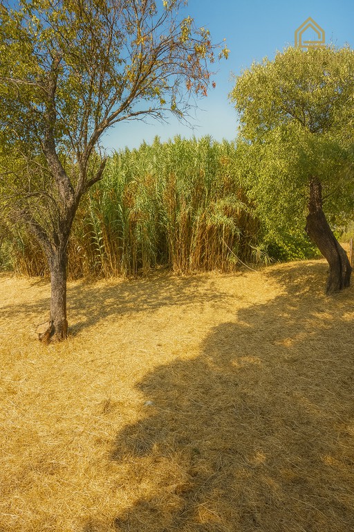Οικόπεδο 500 τ.μ. πρός πώληση, Ν. Λέσβου, Λέσβος - Καλλονή