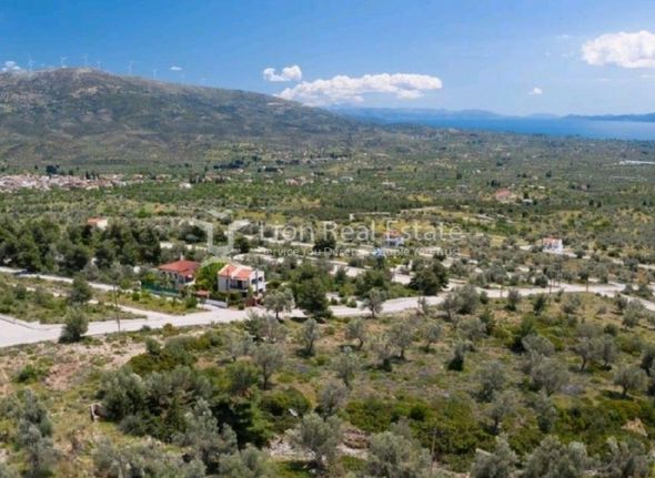Οικόπεδο 480 τ.μ. για πώληση, Εύβοια, Αμάρυνθος