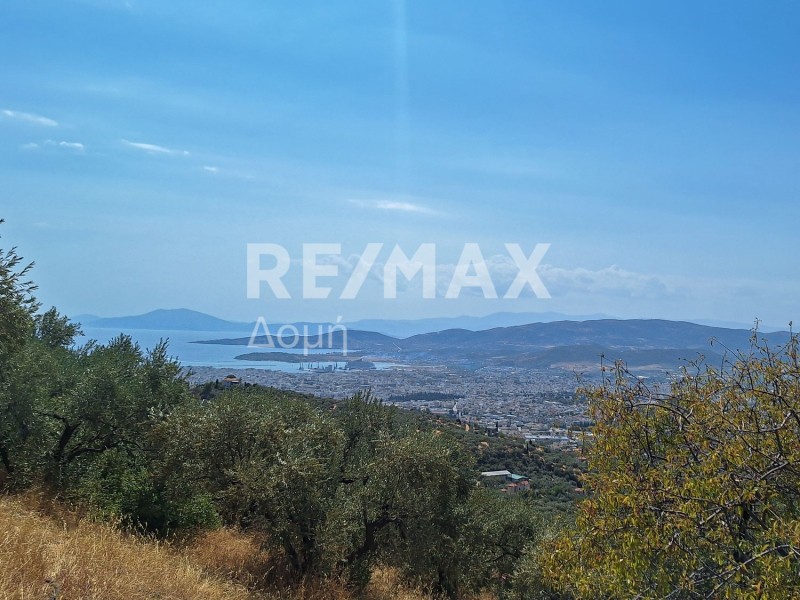 Αγροτεμάχια 4.970 τ.μ. πρός πώληση, Μαγνησία, Μακρινίτσα