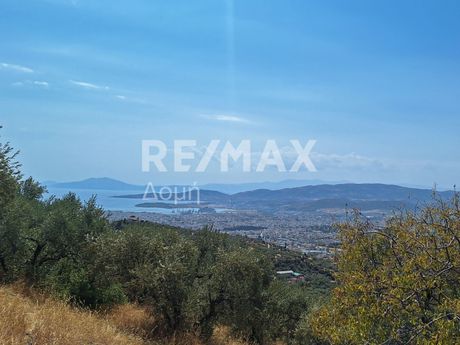 Αγροτεμάχια 4.970τ.μ. για πώληση-Μακρινίτσα » Φυτόκο