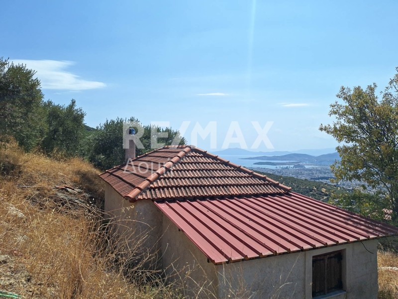 Αγροτεμάχια 4.970 τ.μ. πρός πώληση, Μαγνησία, Μακρινίτσα