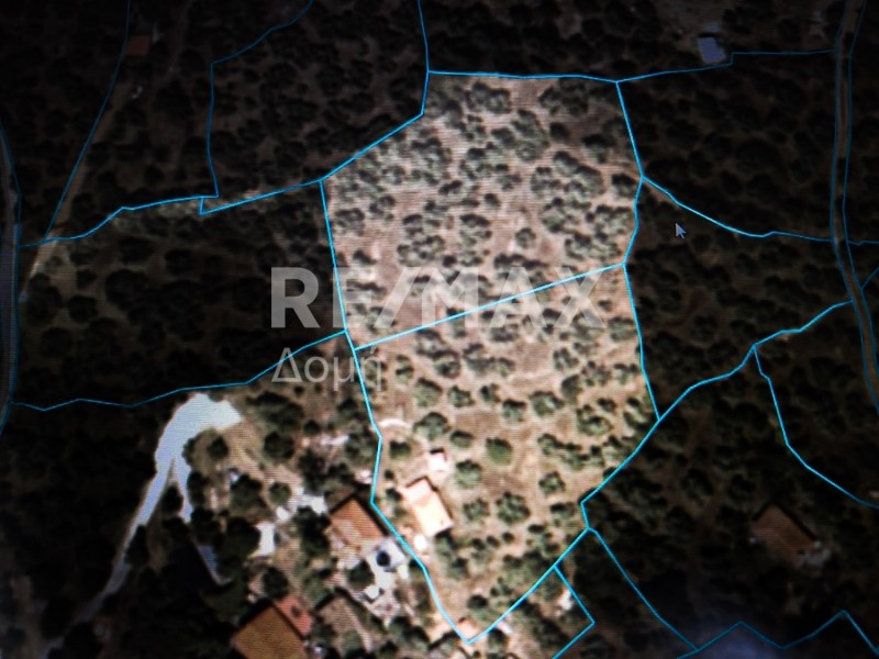 Αγροτεμάχια 4.970 τ.μ. πρός πώληση, Μαγνησία, Μακρινίτσα