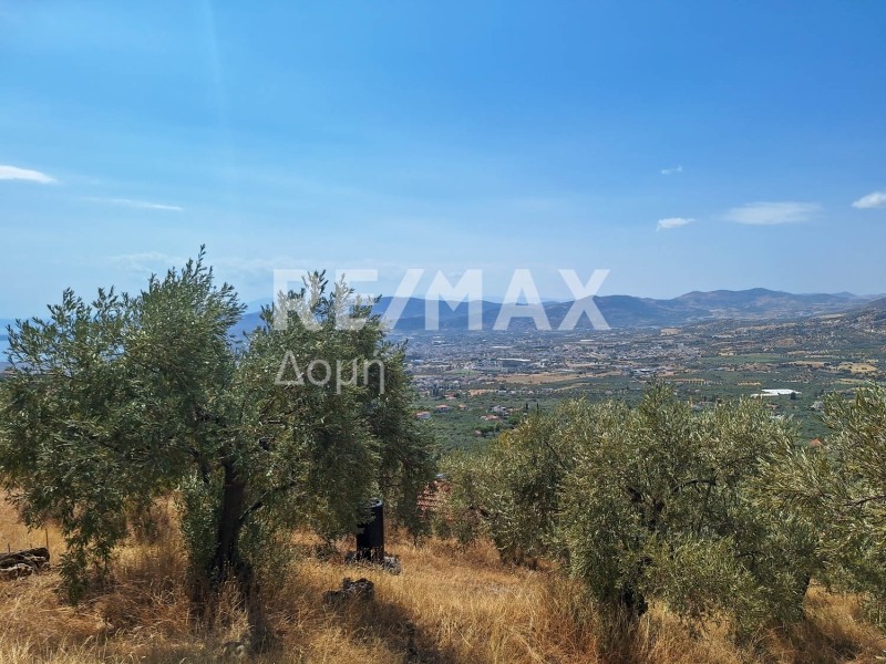 Αγροτεμάχια 4.970 τ.μ. πρός πώληση, Μαγνησία, Μακρινίτσα