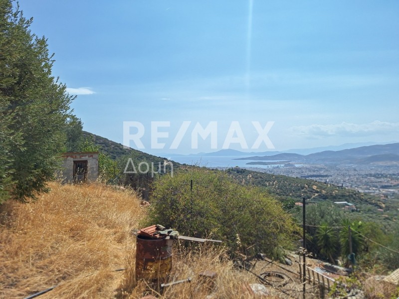Αγροτεμάχια 4.970 τ.μ. πρός πώληση, Μαγνησία, Μακρινίτσα