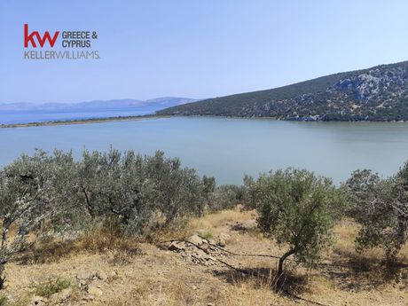 Αγροτεμάχια 11.000τ.μ. για πώληση-Ερμιόνη