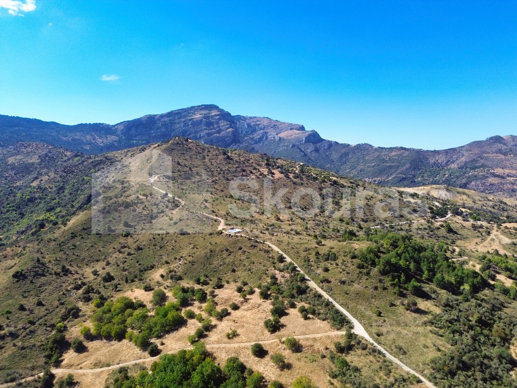 Οικόπεδο 8.246 τ.μ. προς πώληση, Σοφιανά