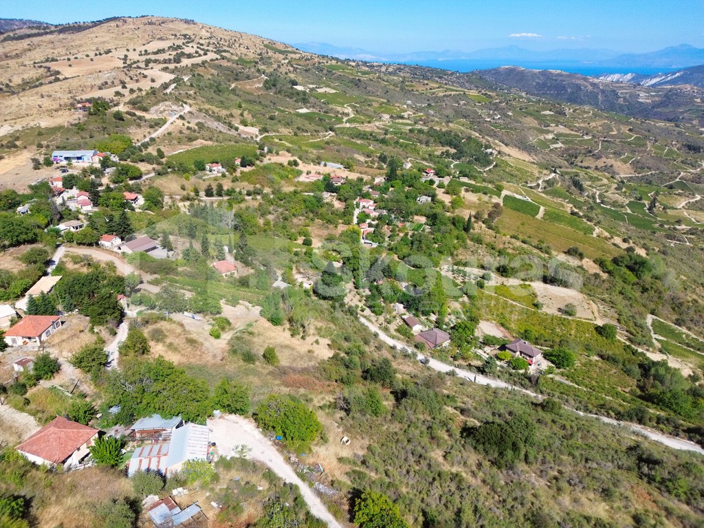 Οικόπεδο 8.246 τ.μ. προς πώληση, Σοφιανά