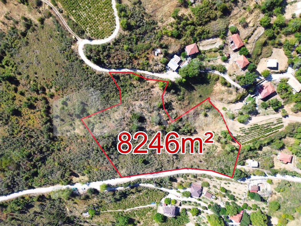 Οικόπεδο 8.246 τ.μ. προς πώληση, Σοφιανά