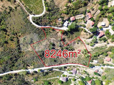 Οικόπεδο 8.246τ.μ. για πώληση-Ξυλόκαστρο