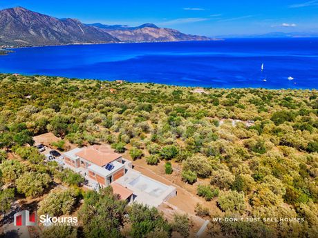 Μονοκατοικία 235τ.μ. για πώληση-Λεωνίδιο