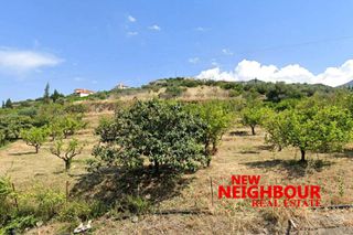 Οικόπεδο 1.777 τ.μ. για πώληση, Κορινθία, Ευρωστίνη-thumb-3