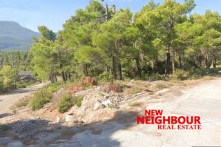 Οικόπεδο 2.100 τ.μ. για πώληση