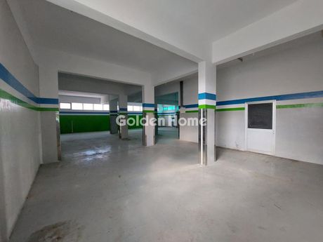 Βιομηχανικός χώρος 850τ.μ. για πώληση-Πολυδένδρι