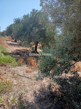 Land plot 500sqm for sale-Timpaki » Klima