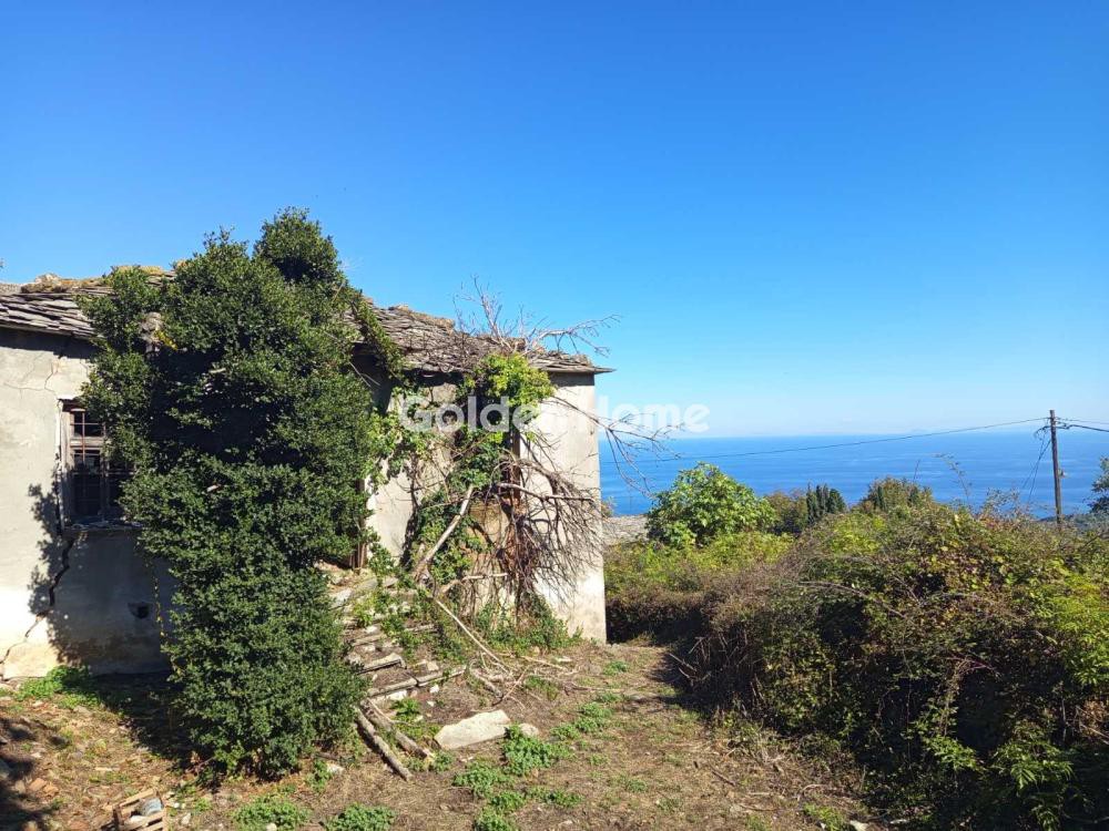 Μονοκατοικία 180 τ.μ. πρός πώληση, Μαγνησία, Ζαγορά