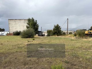 Οικόπεδο 3.000 τ.μ. για ενοικίαση, Αχαΐα, Ρίο-thumb-8