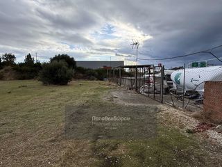 Οικόπεδο 3.000 τ.μ. για ενοικίαση, Αχαΐα, Ρίο-thumb-4