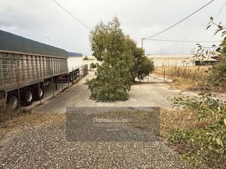 Οικόπεδο 3.000 τ.μ. για ενοικίαση, Αχαΐα, Ρίο-thumb-11