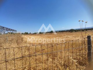 Αγροτεμάχια 6.794 τ.μ. για πώληση