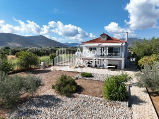 Μονοκατοικία 240 τ.μ. για πώληση, Αργολίδα, Λέρνα-thumb-6