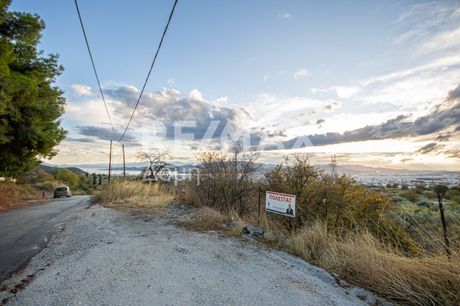Αγροτεμάχια 6.386τ.μ. για πώληση-Ιωλκός » Ανακασιά