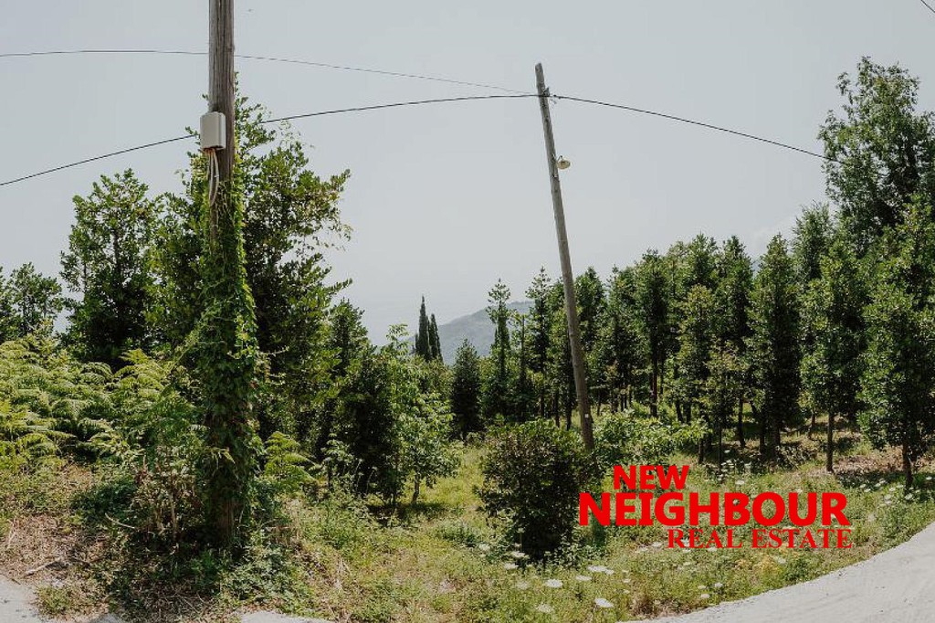 Οικόπεδο 10.573 τ.μ. πρός πώληση, Μαγνησία, Ζαγορά